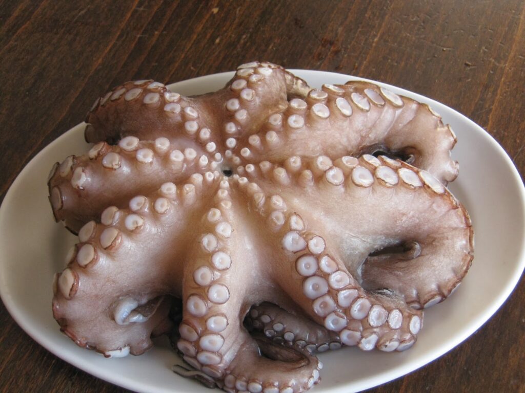 OCTOPUS IN A PLATE