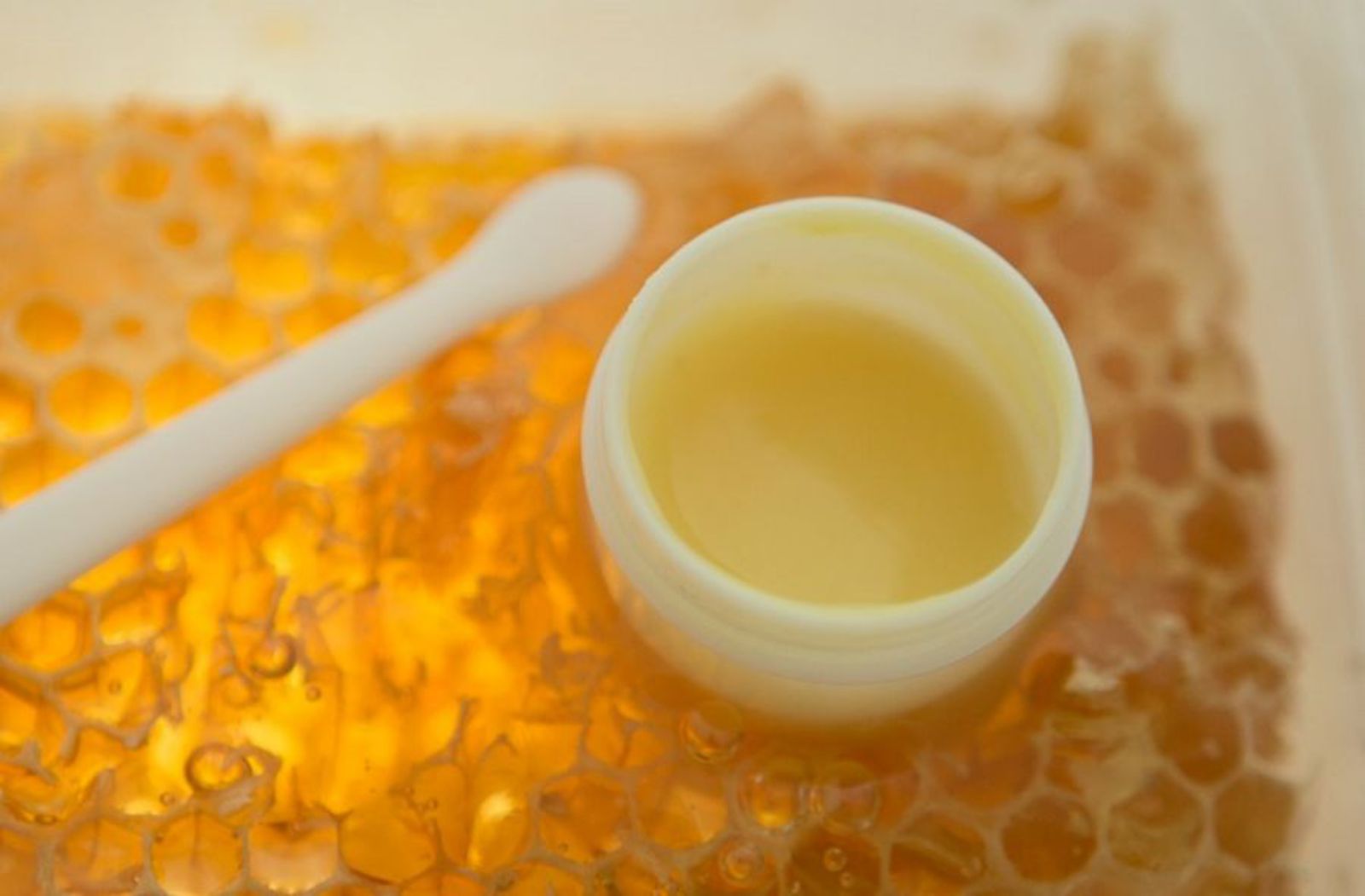 ROYAL JELLY