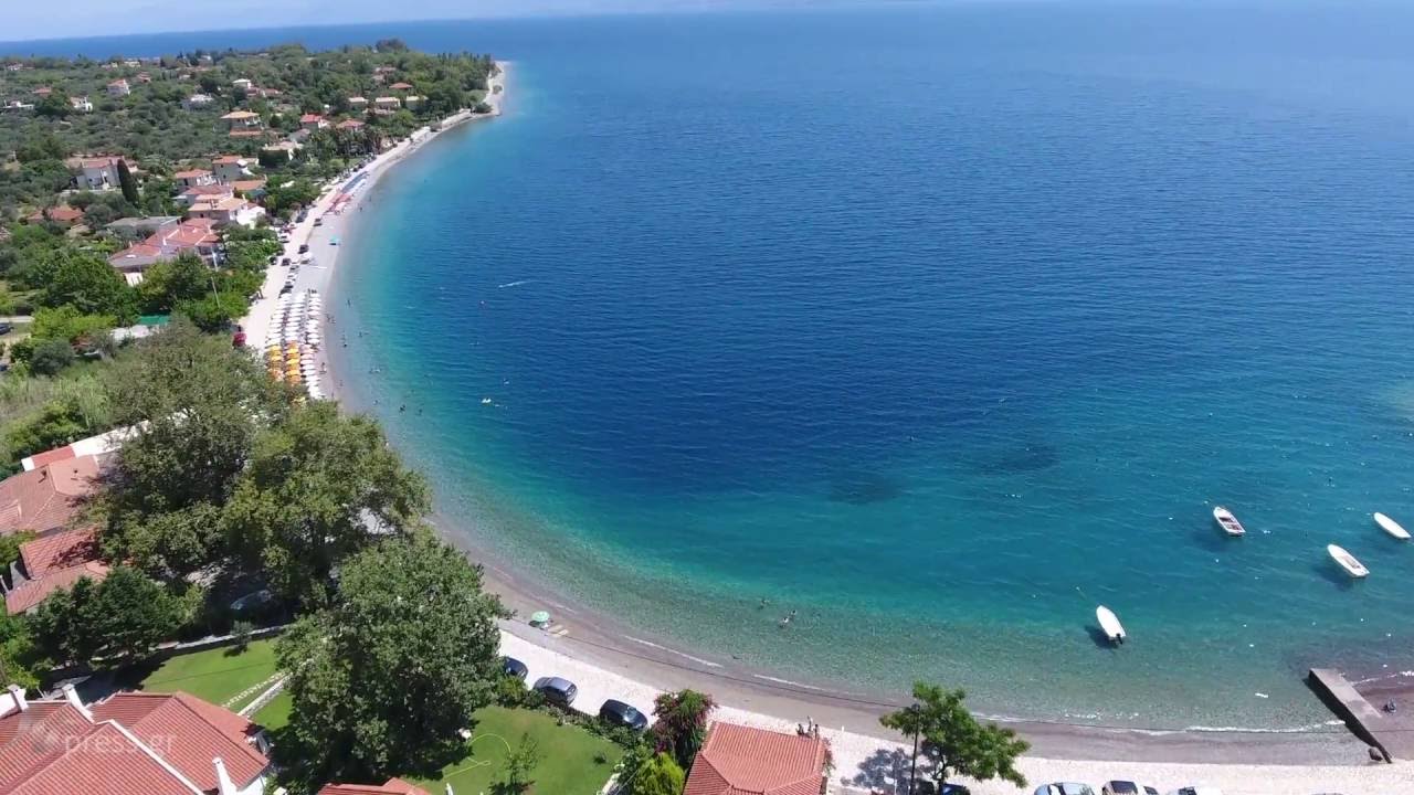 TREES AND SEA