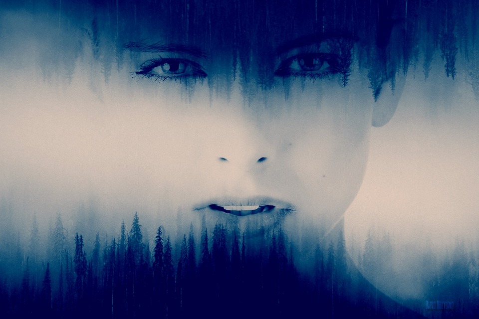 FACE AT THE WOODS