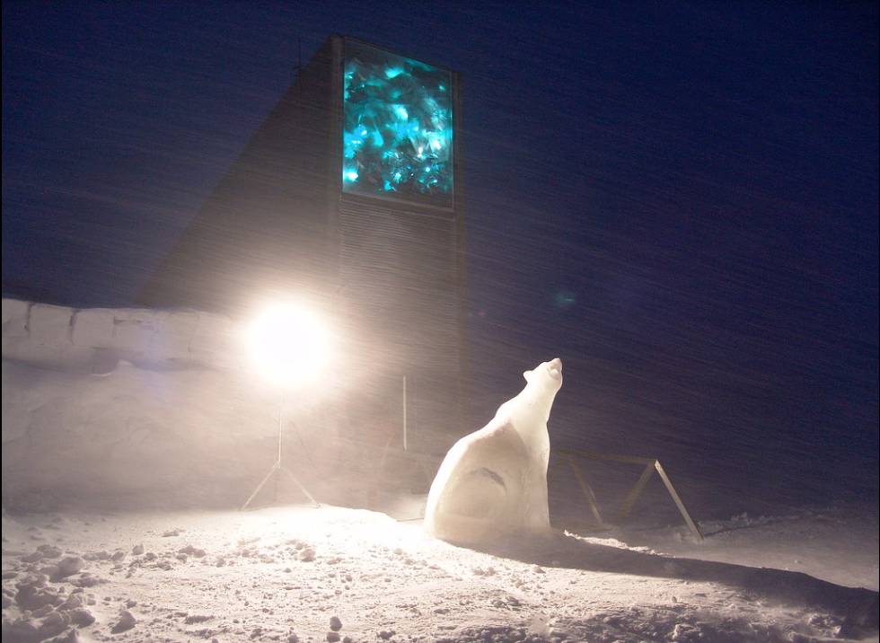 POLAR BEAR