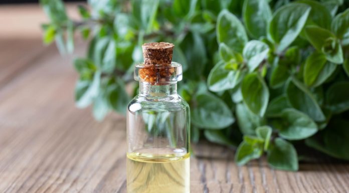 Ριγανέλαιο, το φυσικό αντιβιωτικό που οχυρώνει ενάντια στους ιούς OREGANO OIL